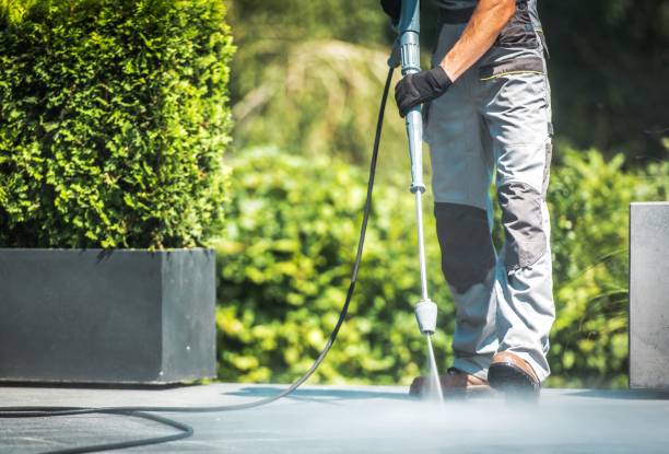 Best Dumpster Area Cleaning  in Gibraltar, MI