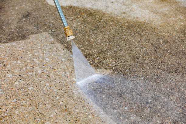 Best Driveway Pressure Washing  in Gibraltar, MI