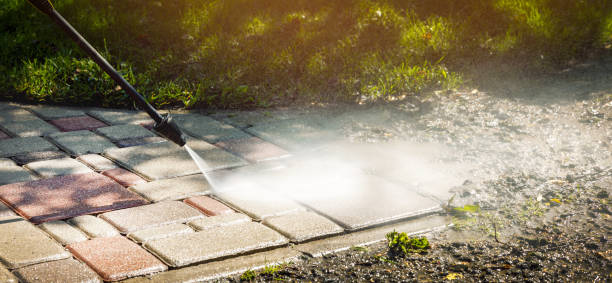 Best Fence Cleaning  in Gibraltar, MI